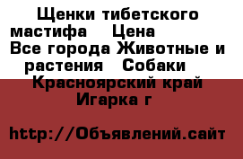 Щенки тибетского мастифа. › Цена ­ 30 000 - Все города Животные и растения » Собаки   . Красноярский край,Игарка г.